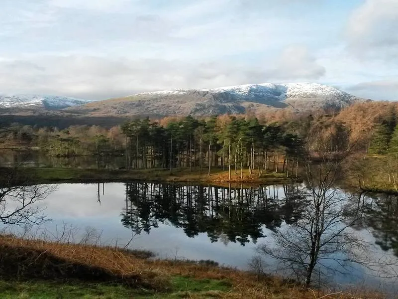 Tarn Hows, Lake District